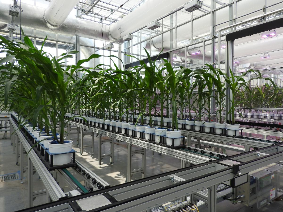 greenhouse at Nebraska Innovation Campus