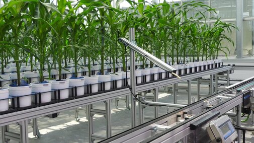 Plant Vision Initiative