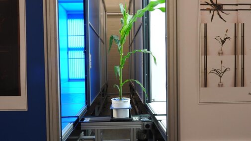 Plant Vision Initiative