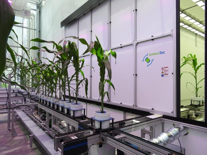 Plant Vision Initiative